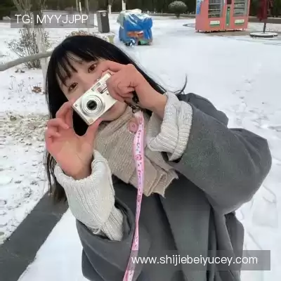 刁帆展
